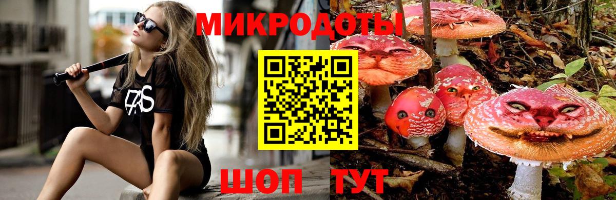 Псилоцибиновые грибы MAGIC MUSHROOMS  Галлюциногенные грибы MAGIC MUSHROOMS  Вход с VPN  Камышин 